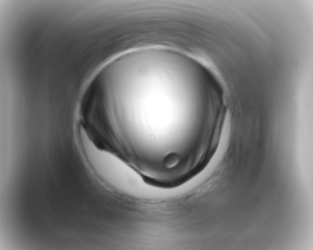 X0000088721524200706212011