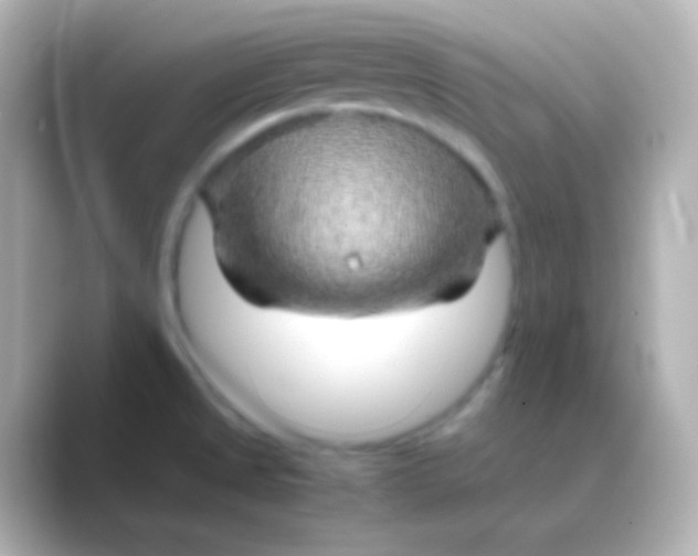 X0000088721525200706212011