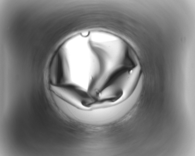 X0000088721526200706212011