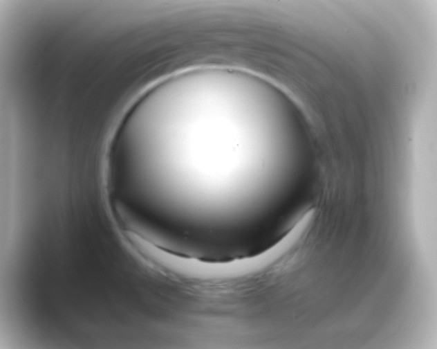 X0000088721527200706212011