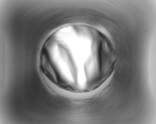 X0000088721528200706212011