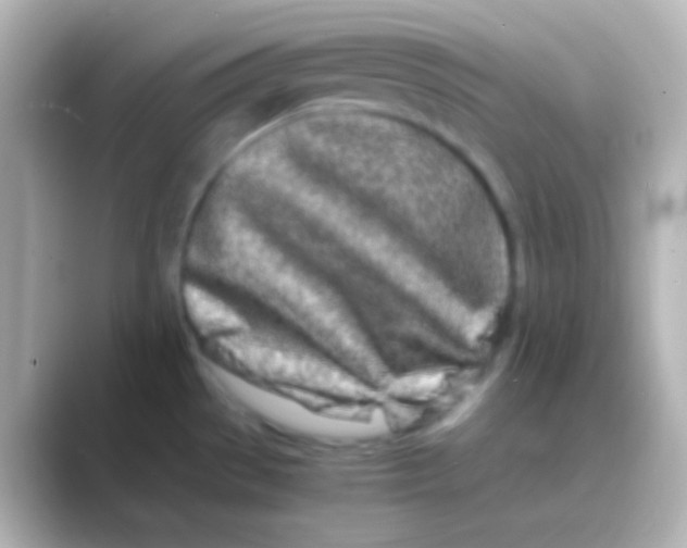 X0000088721529200706212011