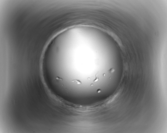 X0000088721530200706212011