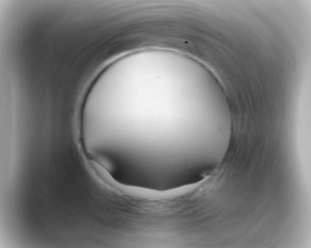 X0000088721531200706212011