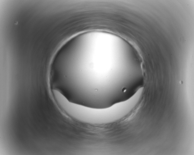 X0000088721533200706212011