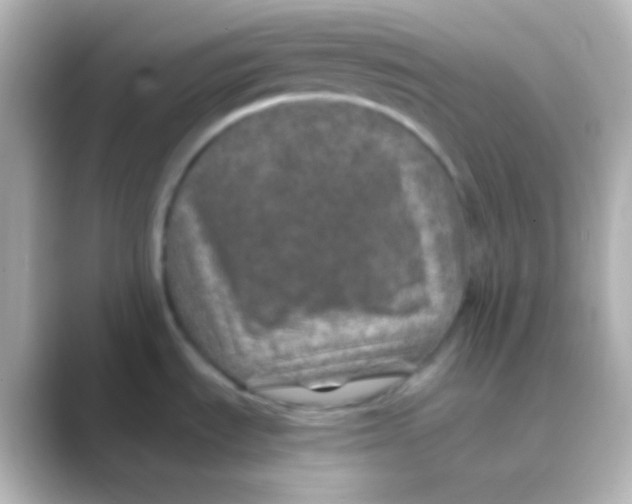 X0000088721535200706212012