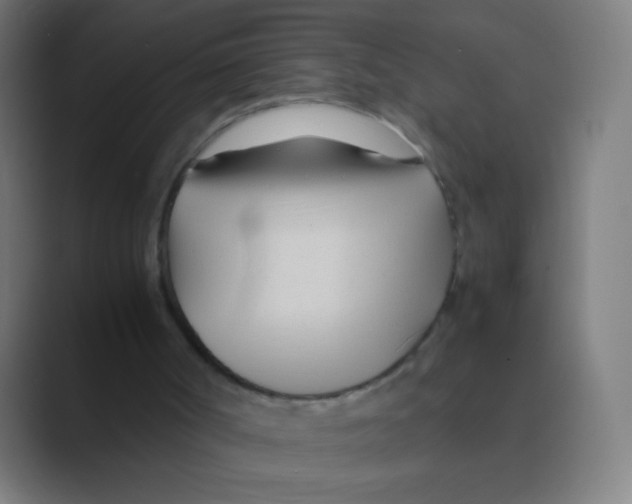 X0000088720002200706282113