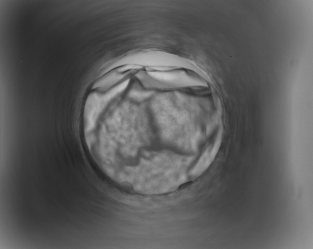 X0000088720003200706282113