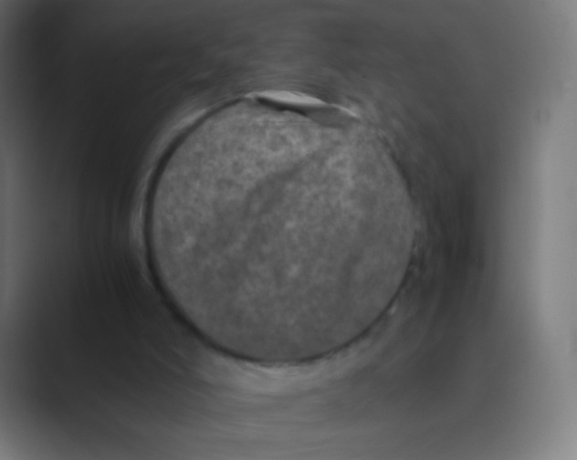 X0000088720006200706282113