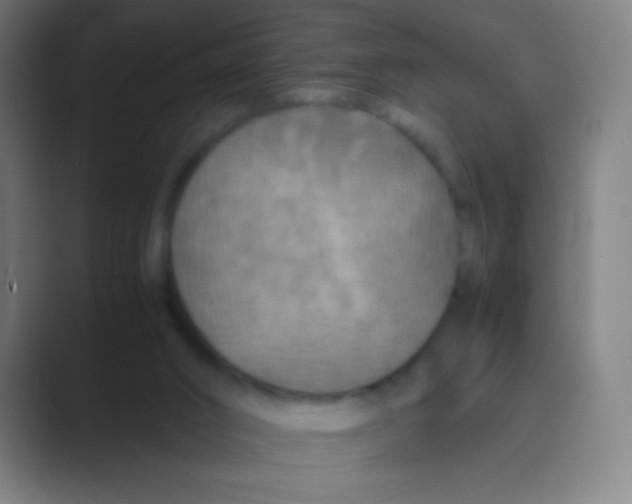 X0000088720016200706282113