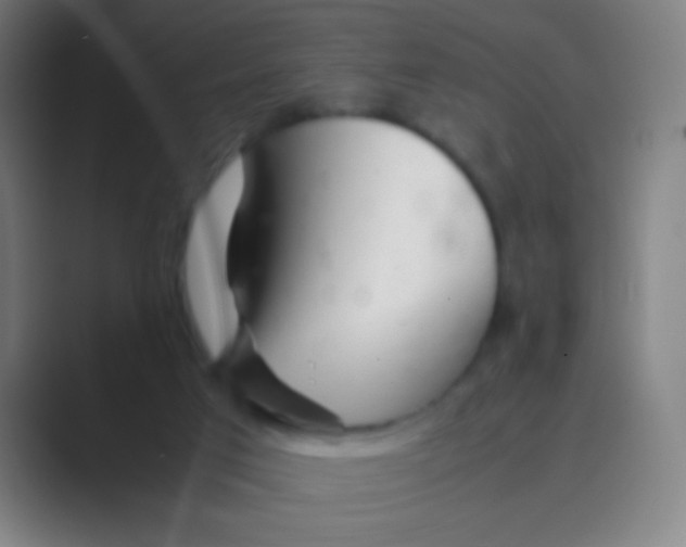 X0000088720017200706282113