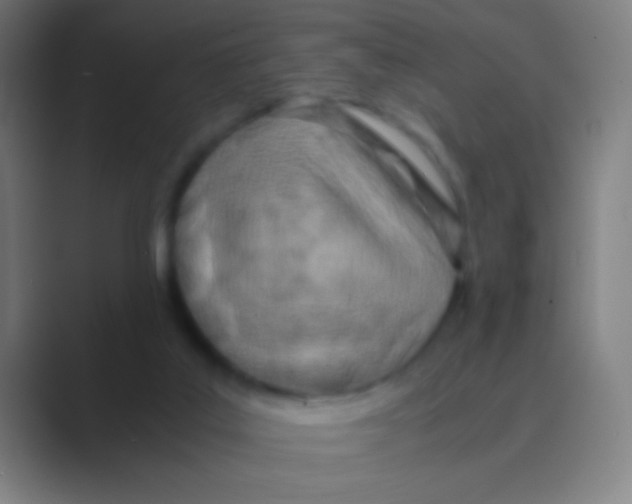 X0000088720019200706282113