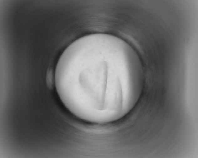 X0000088720020200706282113