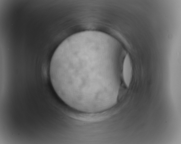 X0000088720023200706282113