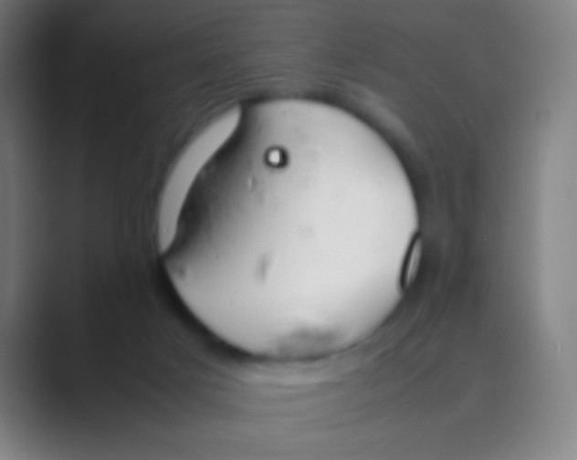 X0000088720025200706282113