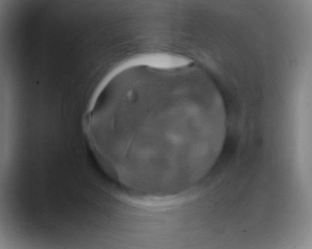 X0000088720027200706282113