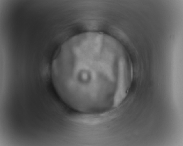 X0000088720029200706282113