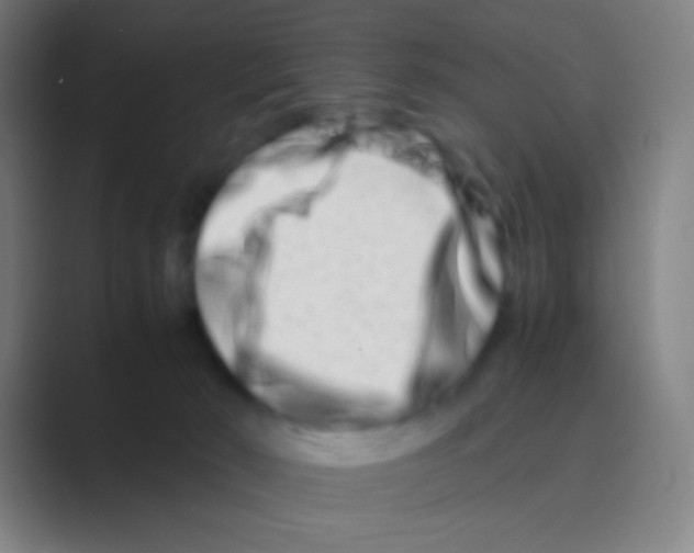 X0000088720030200706282113