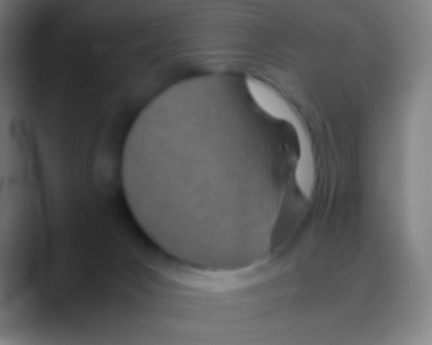 X0000088720031200706282113