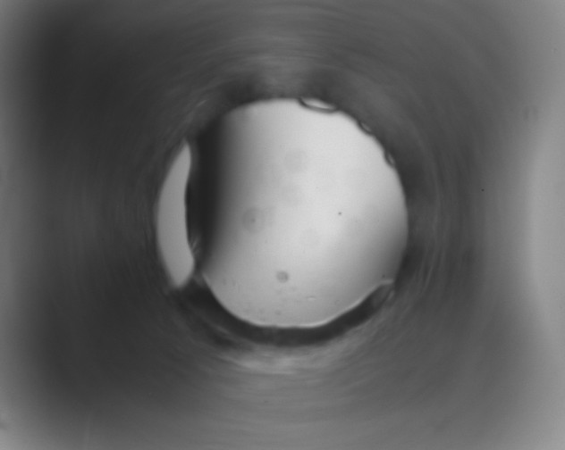 X0000088720033200706282113