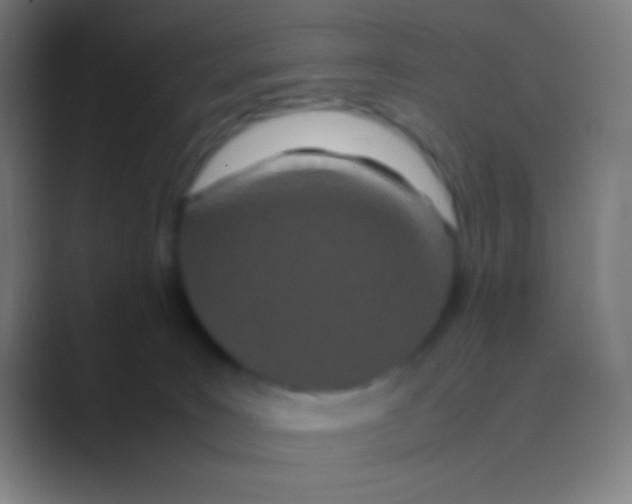 X0000088720035200706282112