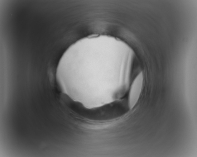 X0000088720037200706282112