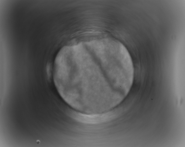 X0000088720038200706282112