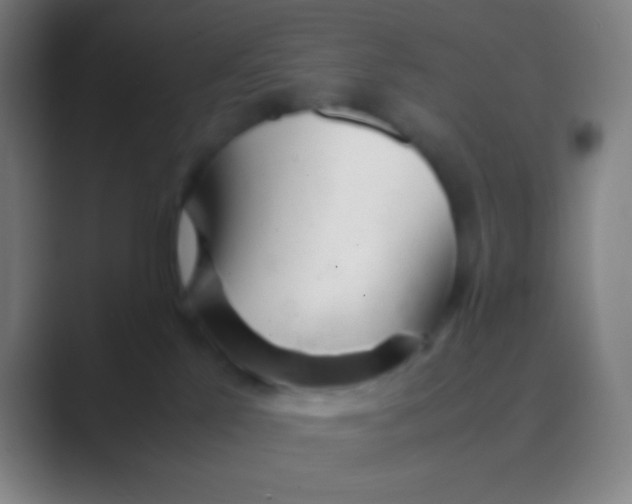 X0000088720041200706282112