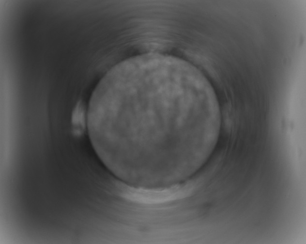 X0000088720042200706282112