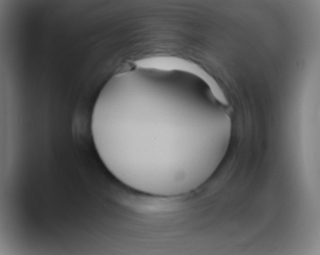 X0000088720044200706282112