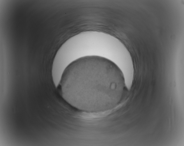 X0000088720045200706282112