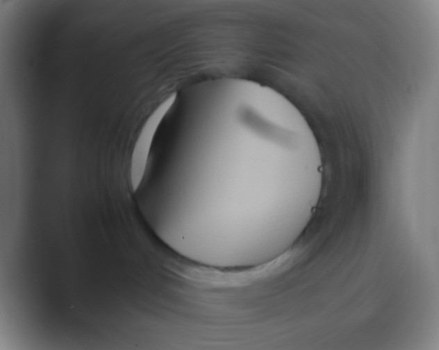 X0000088720048200706282112