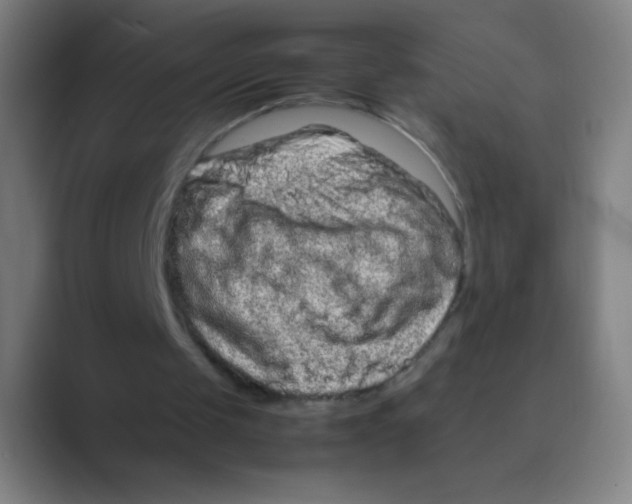 X0000088720049200706282112