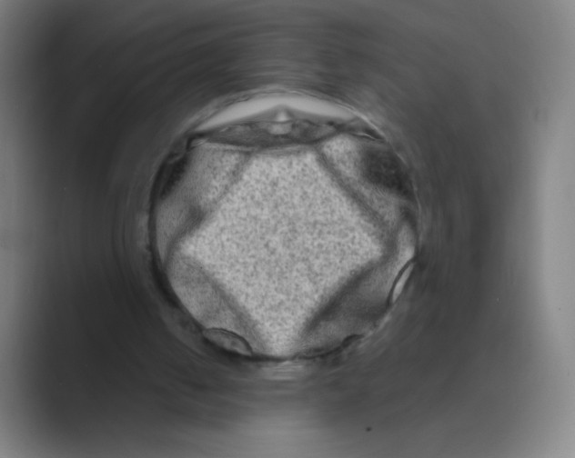 X0000088720050200706282112