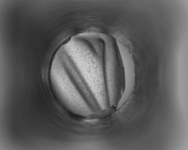 X0000088720051200706282112