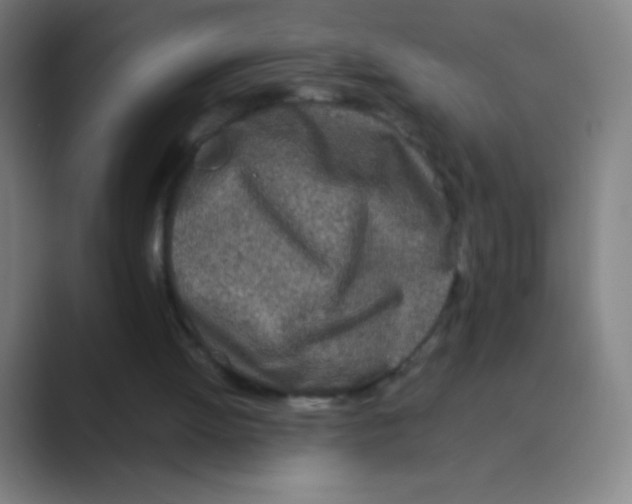 X0000088720052200706282112