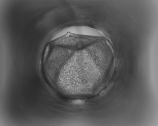 X0000088720053200706282112