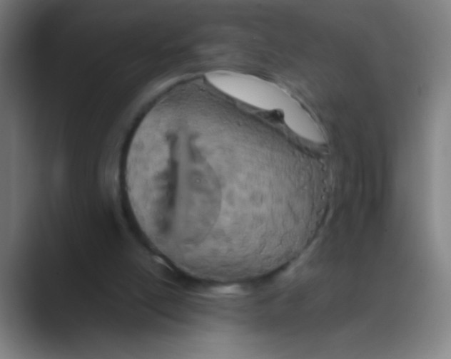 X0000088720054200706282112