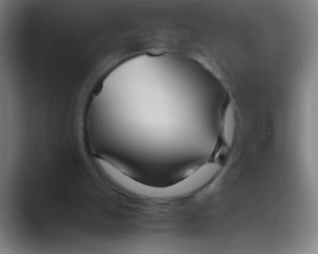 X0000088720055200706282112