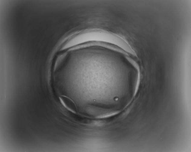 X0000088720056200706282112