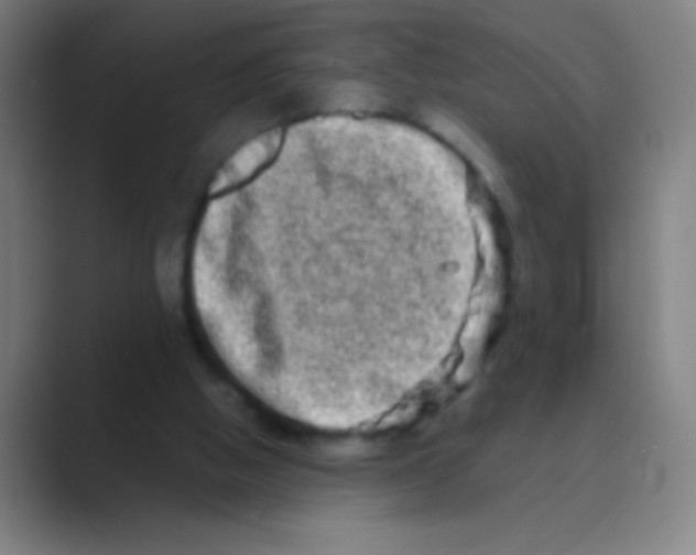 X0000088720058200706282112