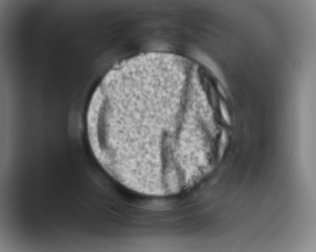 X0000088720059200706282112