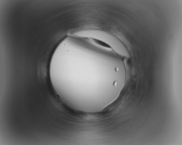 X0000088720060200706282112