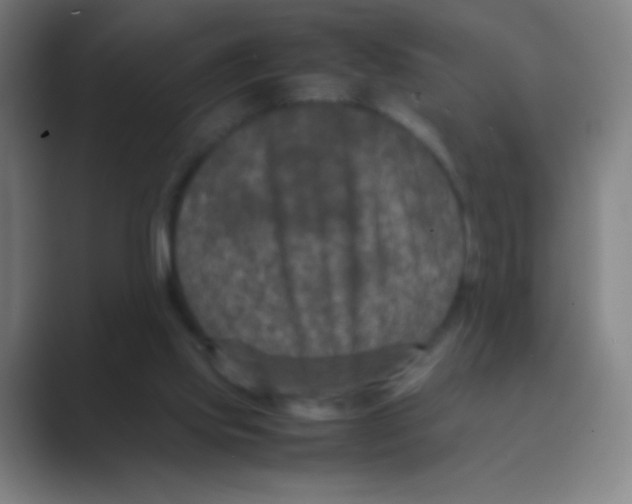 X0000088720061200706282112