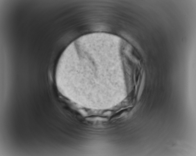 X0000088720062200706282112