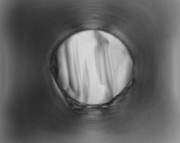 X0000088720064200706282112