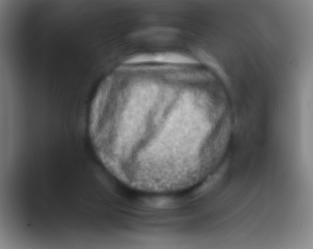 X0000088720065200706282112