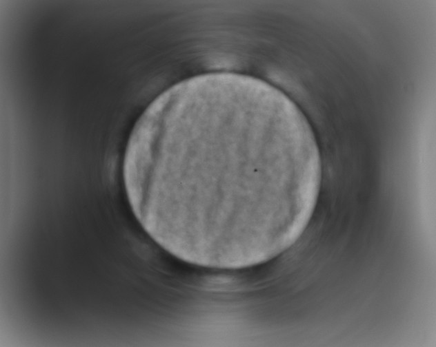 X0000088720066200706282112