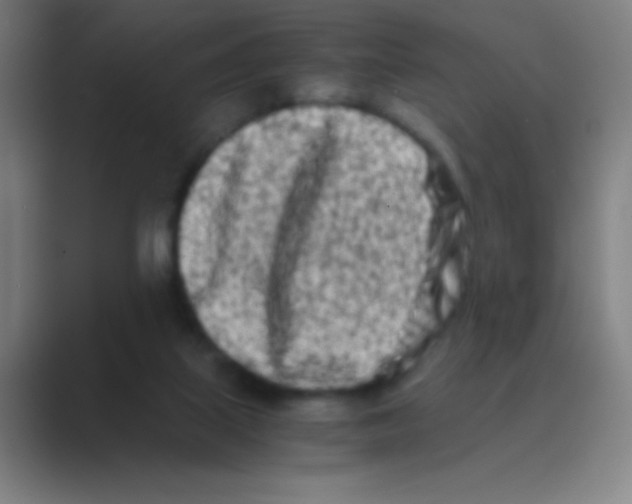 X0000088720067200706282112