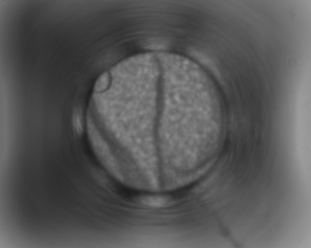 X0000088720069200706282112